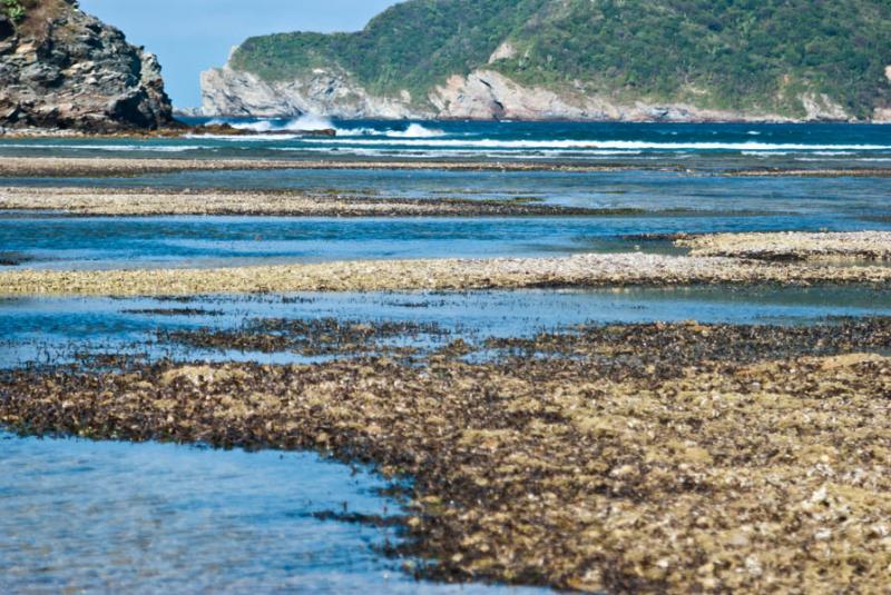 Bahia Chengue, Parque Nacional Natural Tayrona, Sa...