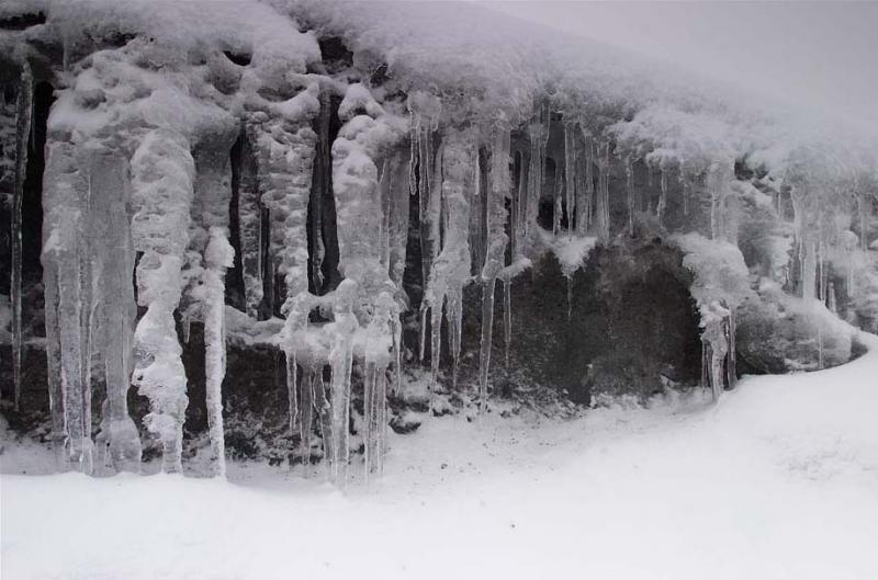 Parque de los Nevados, Nevado del Ruiz, Caldas, Co...