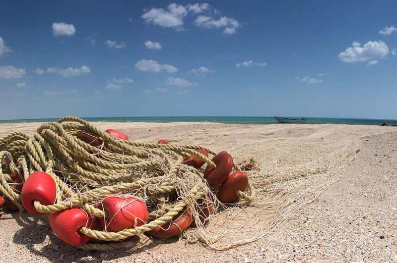 Red de Pesca en la Playa, Guajira, Colombia