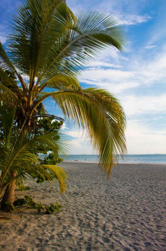 El Rodadero, Santa Marta, Magdalena, Colombia