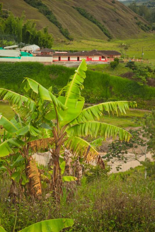 Paisaje de Marinilla, Oriente Antioqueño, Antioqu...