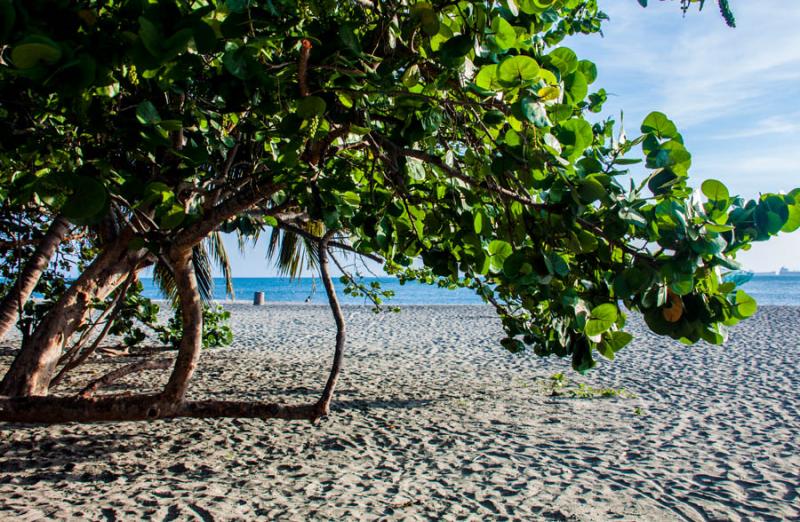 El Rodadero, Santa Marta, Magdalena, Colombia