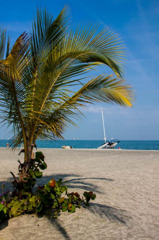 El Rodadero, Santa Marta, Magdalena, Colombia