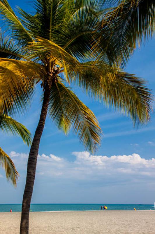 El Rodadero, Santa Marta, Magdalena, Colombia