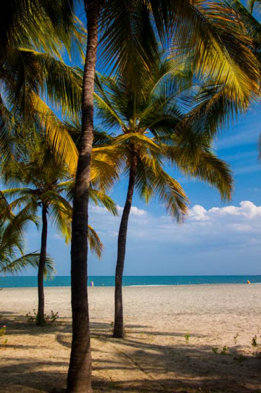 El Rodadero, Santa Marta, Magdalena, Colombia