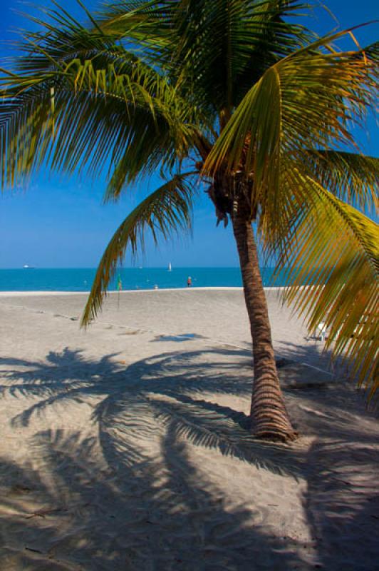 El Rodadero, Santa Marta, Magdalena, Colombia