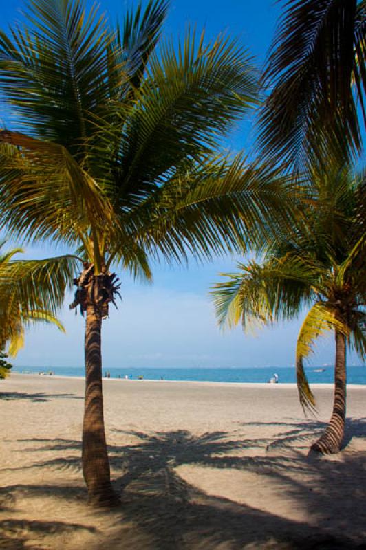 El Rodadero, Santa Marta, Magdalena, Colombia