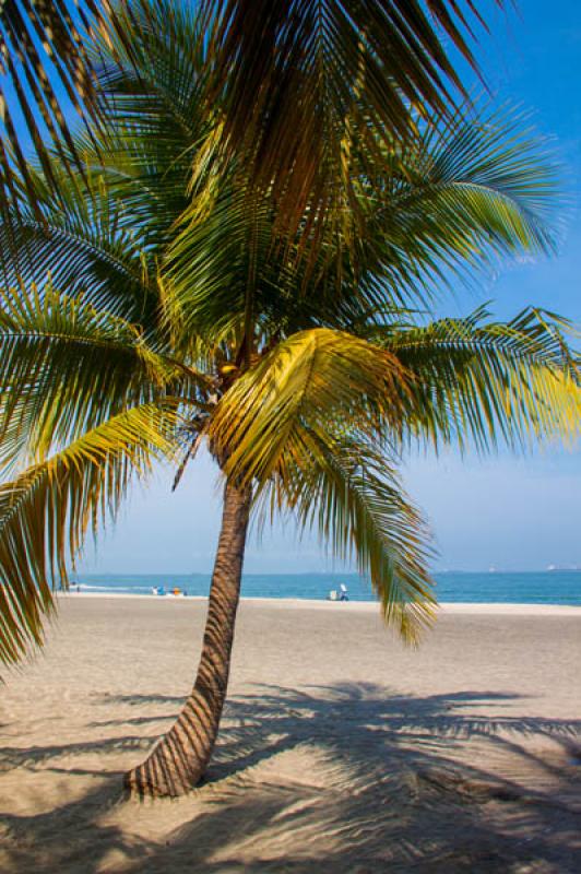 El Rodadero, Santa Marta, Magdalena, Colombia