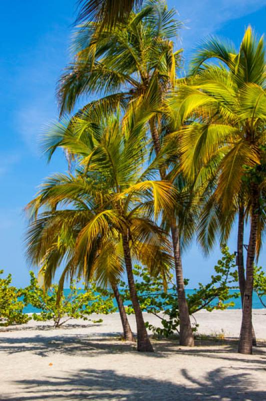 El Rodadero, Santa Marta, Magdalena, Colombia