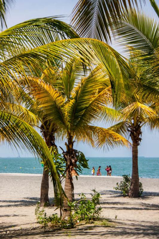 El Rodadero, Santa Marta, Magdalena, Colombia