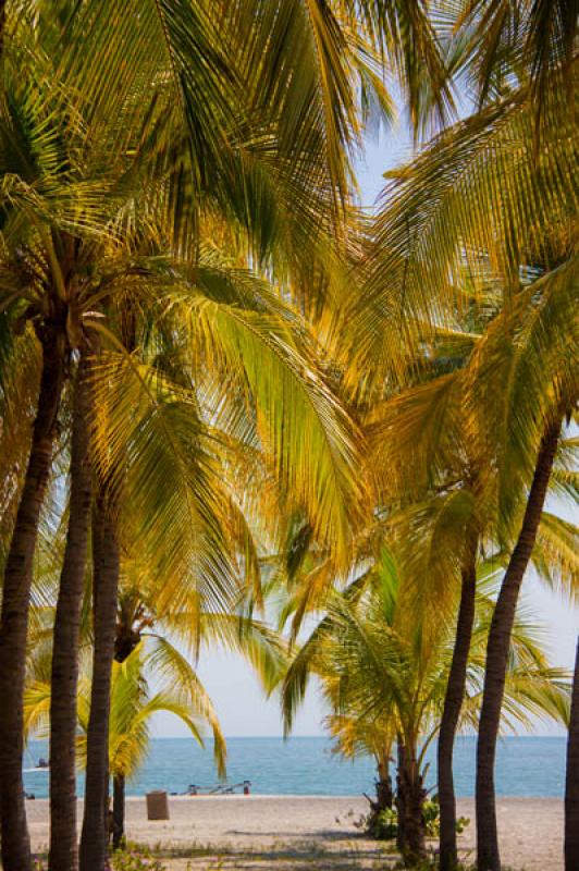 El Rodadero, Santa Marta, Magdalena, Colombia