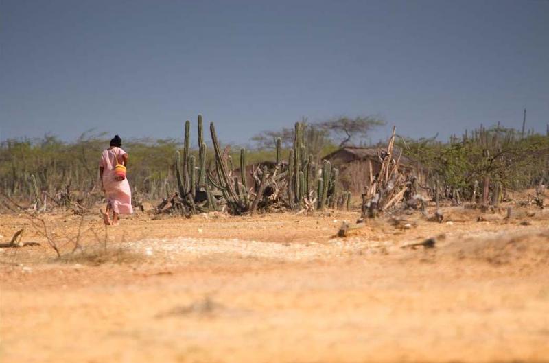 Mujer en el Desierto de la Guajira, Colombia