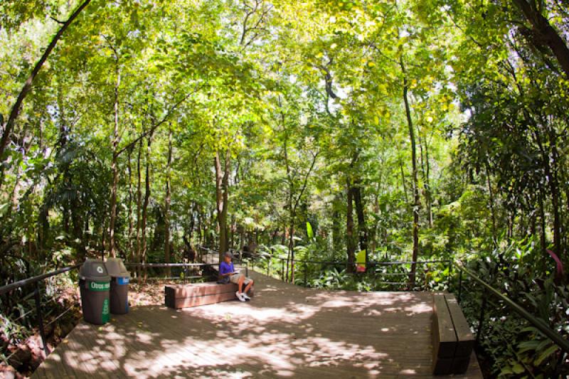 Bosque Tropical, Jardin Botanico de Medellin Joaqu...