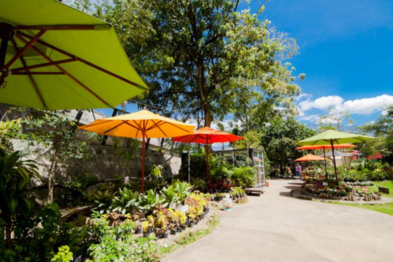 Tienda del Jardin, Jardin Botanico de Medellin Joa...