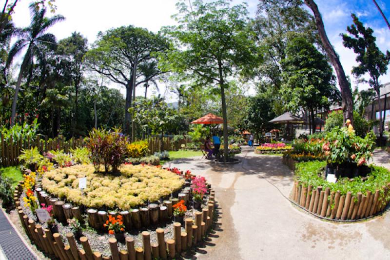 Tienda del Jardin, Jardin Botanico de Medellin Joa...