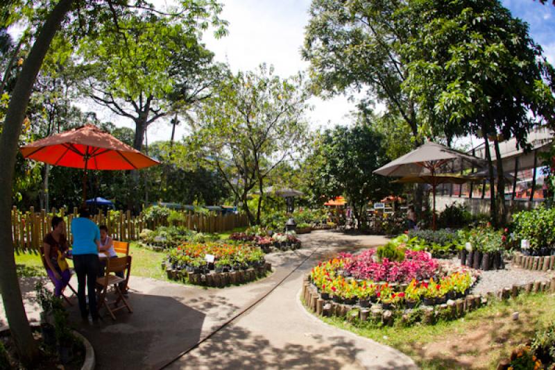 Tienda del Jardin, Jardin Botanico de Medellin Joa...