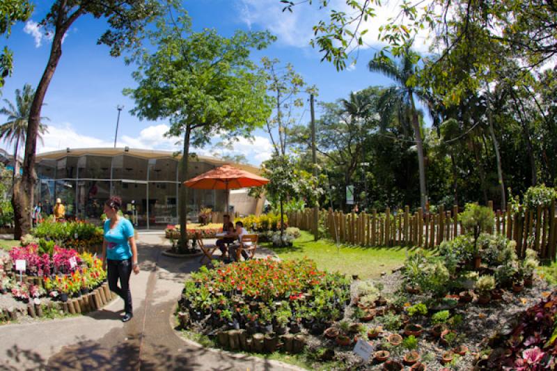 Tienda del Jardin, Jardin Botanico de Medellin Joa...