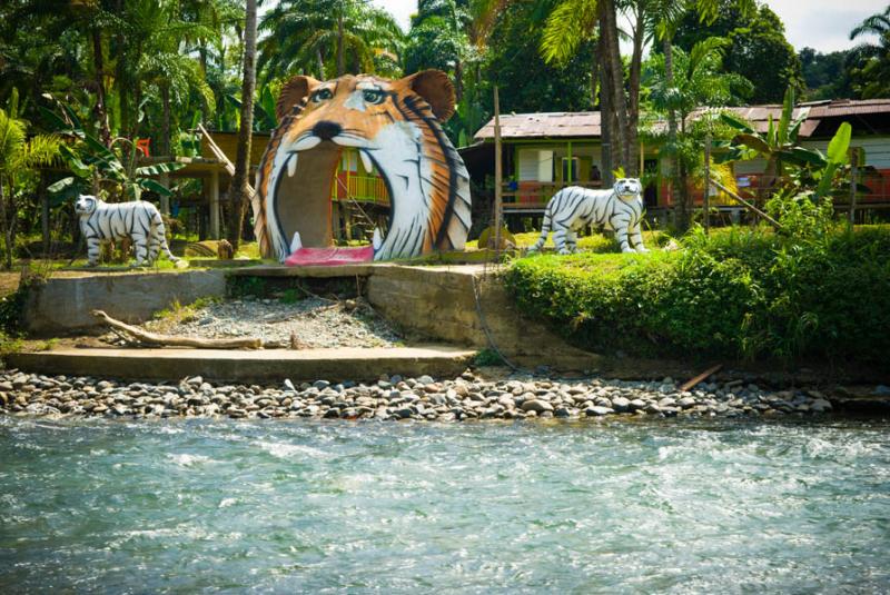 Vivienda en Rio Sabaletas, Buenaventura, Valle del...