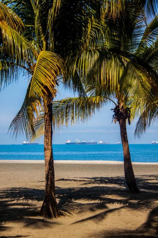 Bahia de Santa Marta, Santa Marta, Magdalena, Colo...