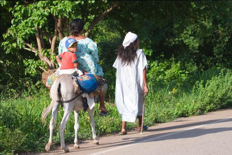 Mujer en Burro, Guajira, Colombia