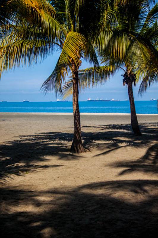 Bahia de Santa Marta, Santa Marta, Magdalena, Colo...