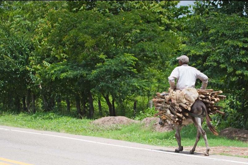 Hombre en Burro, Guajira, Colombia