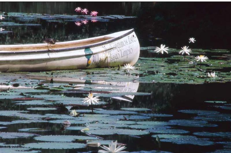 Canoa en el Lago del Jardin Botanico, Medellin, An...