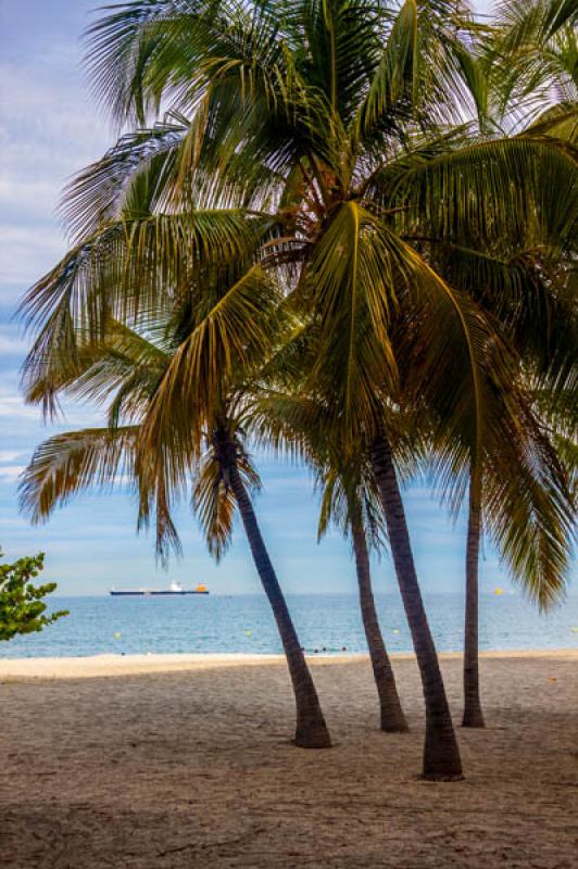 Bahia de Santa Marta, Santa Marta, Magdalena, Colo...