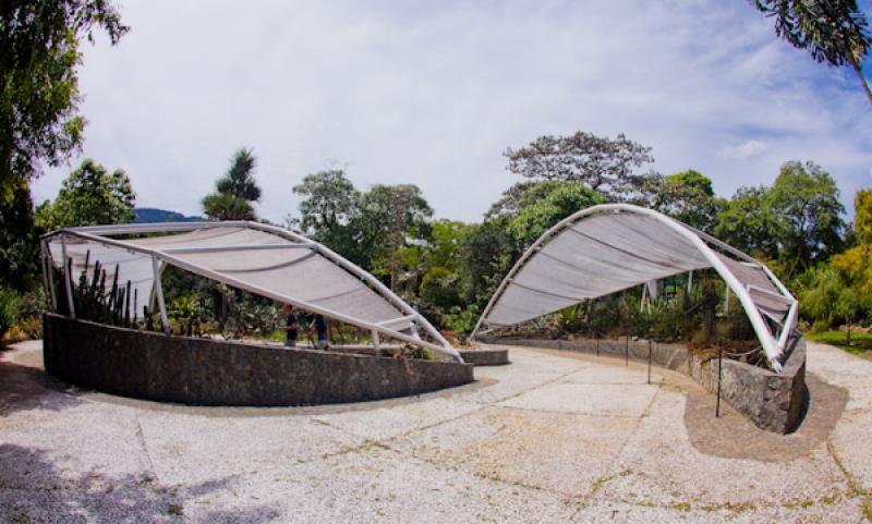 Jardin del Desierto, Jardin Botanico de Medellin J...