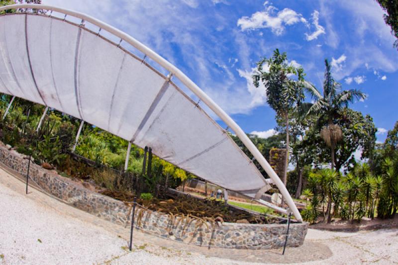 Jardin del Desierto, Jardin Botanico de Medellin J...