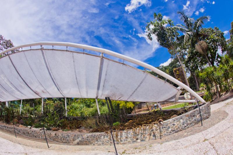 Jardin del Desierto, Jardin Botanico de Medellin J...