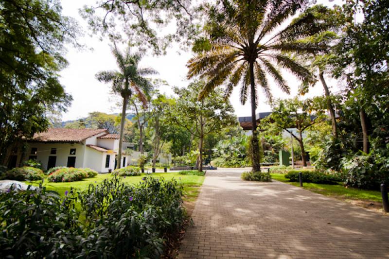 Patio de las Azaleas, Jardin Botanico de Medellin ...