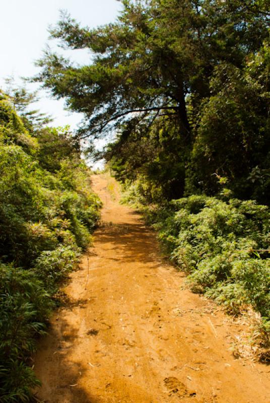 Sendero Ancestral Educativo, Parque Ecoturistico A...