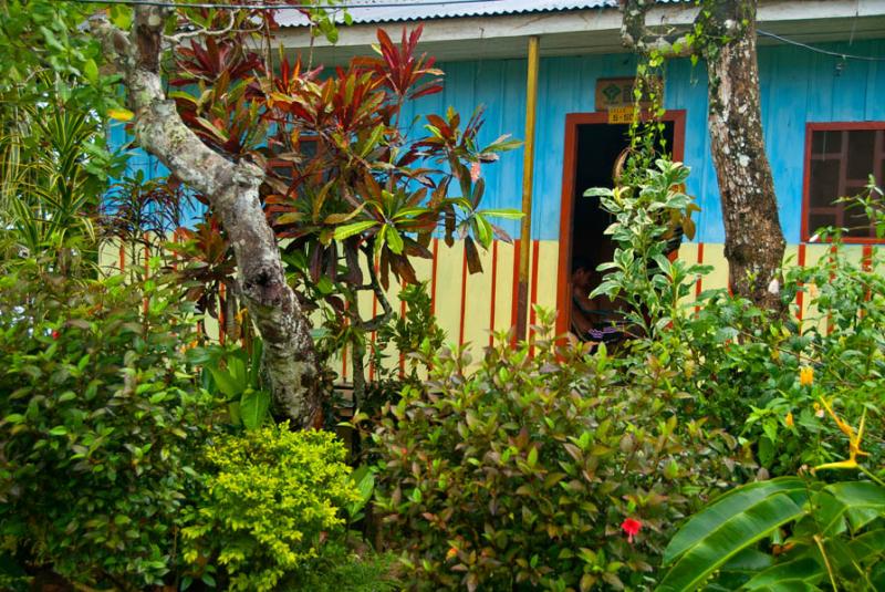 Vivienda Tradicional, Puerto Nariño, Amazonia, Am...