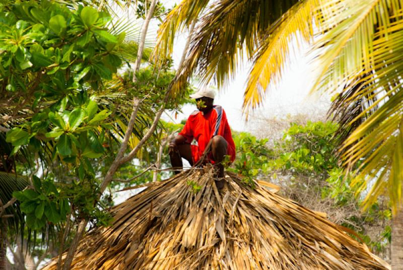 Hombre Trabajando, Santiago de Tolu, Tolu, Sucre, ...