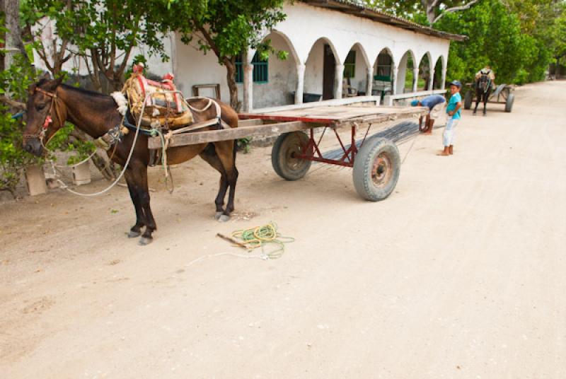 Transporte Tradicional, Santiago de Tolu, Tolu, Su...