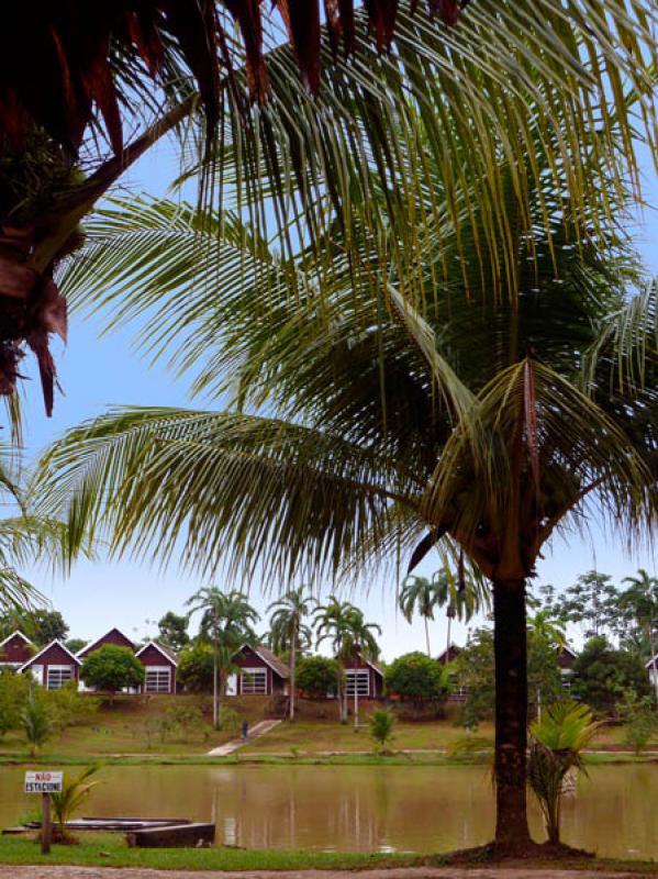 Puerto Nariño, Amazonia, Amazonas, Leticia, Colom...