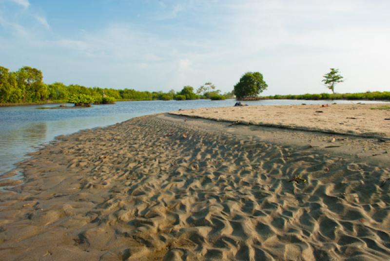 Cienaga de la Caimanera, Santiago de Tolu, Tolu, S...