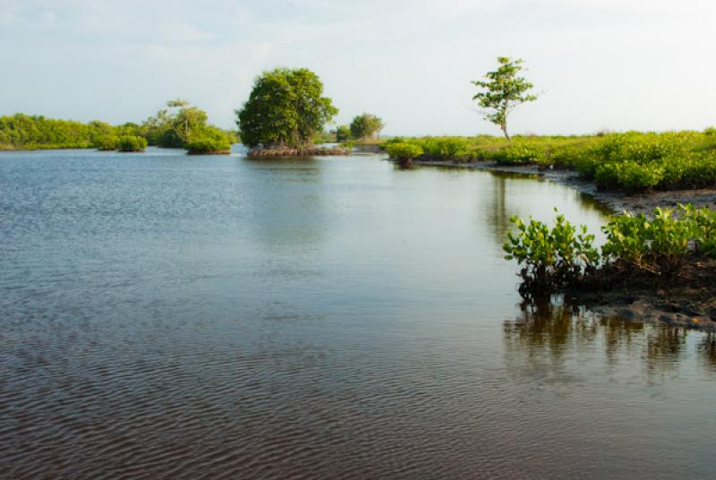 Cienaga de la Caimanera, Santiago de Tolu, Tolu, S...