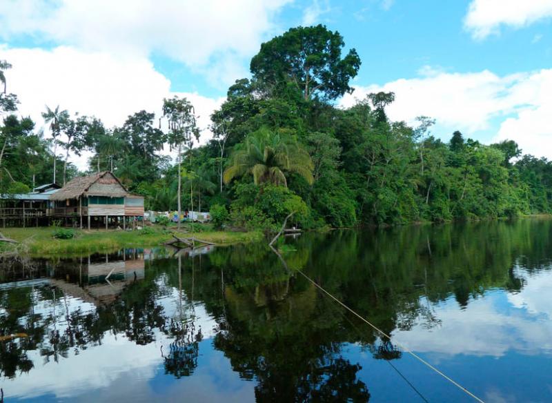 Reserva Natural Marasha, Leticia, Amazonas, Colomb...