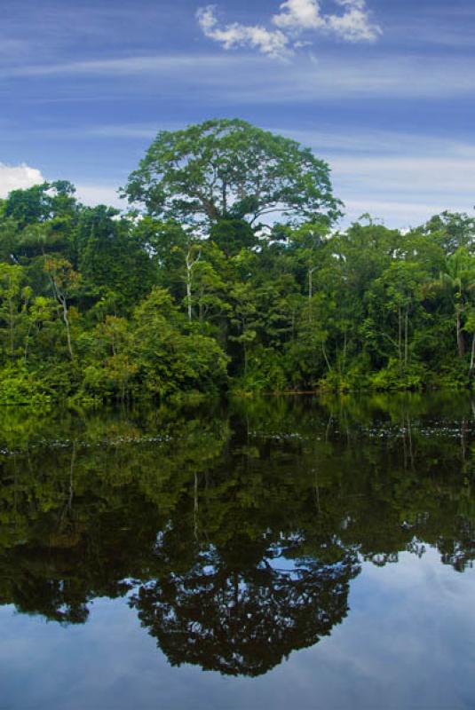 Rio Amazonas, Amazonas, Leticia, Colombia