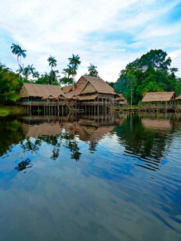 Reserva Natural Marasha, Leticia, Amazonas, Colomb...