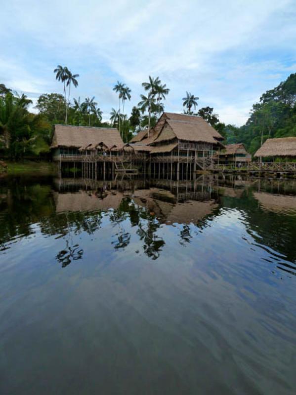 Reserva Natural Marasha, Leticia, Amazonas, Colomb...