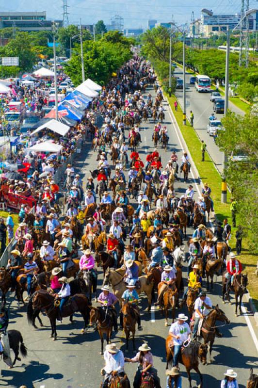 Cabalgata de las Flores, Feria de las Flores, Mede...