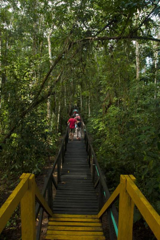 Reserva Natural Marasha, Leticia, Amazonas, Colomb...