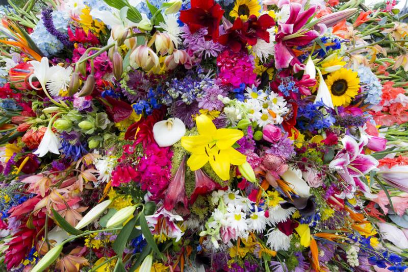 Desfile de Silleteros, Feria de las Flores, Medell...