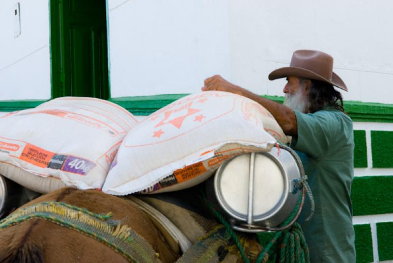 Campesino en Carolina del Principe, Antioquia, Med...