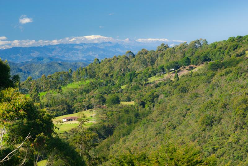 Parque Nacional Natural Los Nevados, Risaralda, Pe...