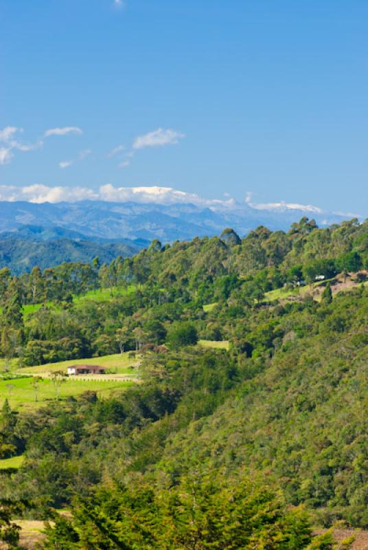 Parque Nacional Natural Los Nevados, Risaralda, Pe...