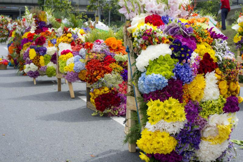 Desfile de Silleteros, Feria de las Flores, Medell...